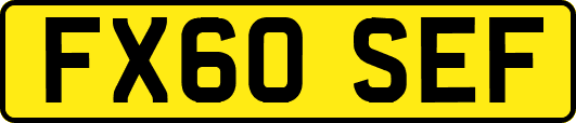 FX60SEF