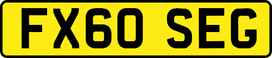 FX60SEG