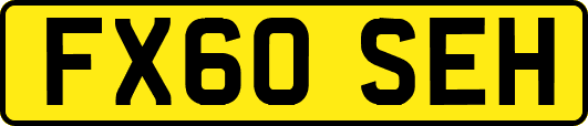 FX60SEH