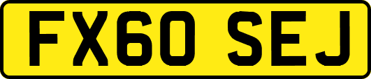 FX60SEJ