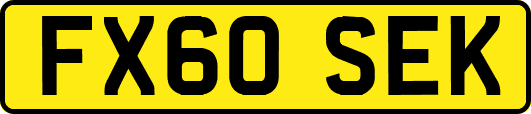 FX60SEK