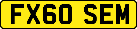 FX60SEM