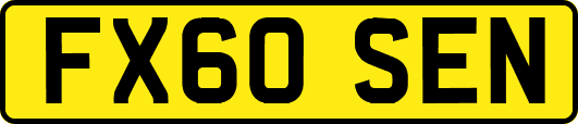 FX60SEN