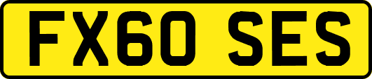 FX60SES