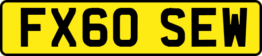 FX60SEW