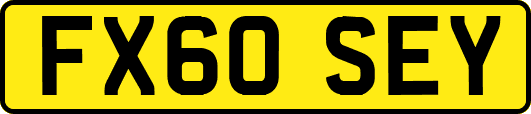 FX60SEY