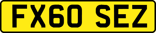 FX60SEZ