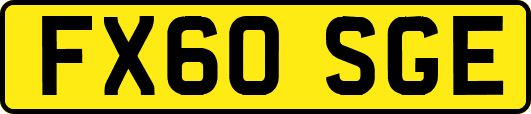 FX60SGE