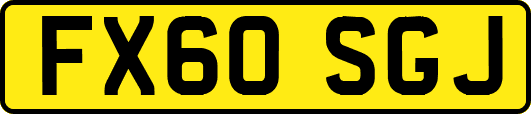 FX60SGJ