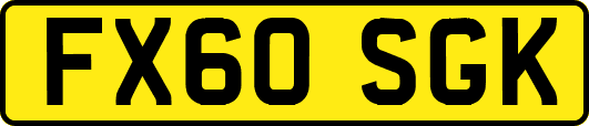 FX60SGK