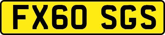 FX60SGS