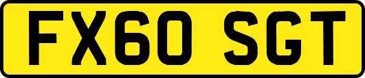 FX60SGT