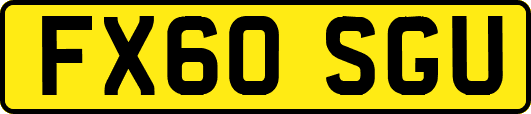 FX60SGU