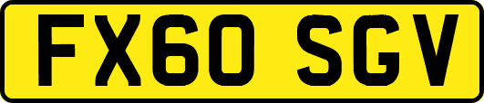 FX60SGV