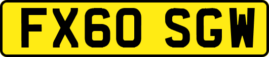 FX60SGW