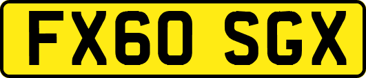 FX60SGX