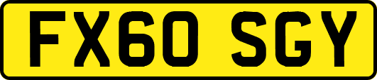 FX60SGY