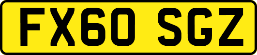 FX60SGZ
