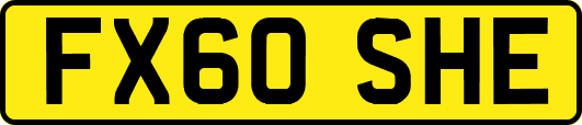 FX60SHE