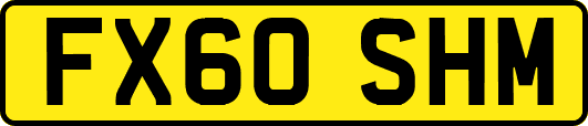 FX60SHM