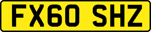 FX60SHZ