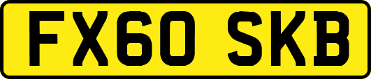 FX60SKB