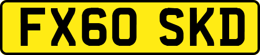 FX60SKD