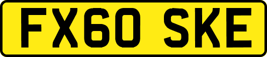 FX60SKE