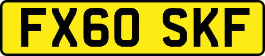 FX60SKF
