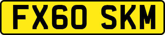 FX60SKM