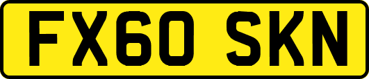 FX60SKN