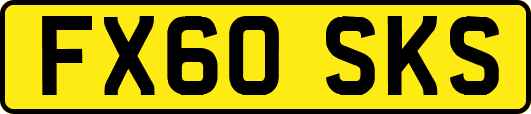 FX60SKS