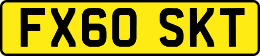 FX60SKT