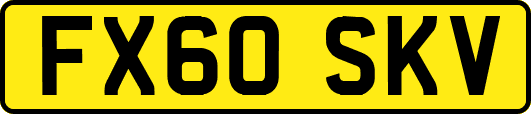 FX60SKV