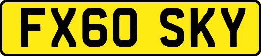 FX60SKY