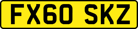 FX60SKZ