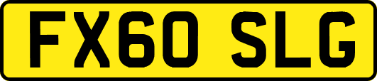 FX60SLG