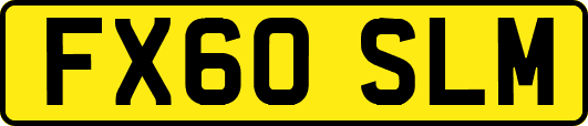 FX60SLM