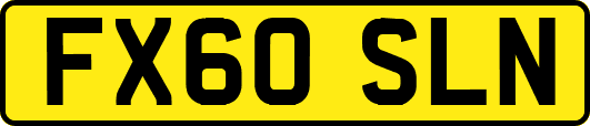 FX60SLN