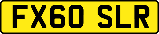 FX60SLR