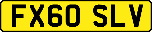 FX60SLV