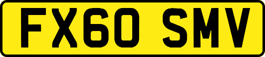 FX60SMV