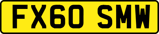 FX60SMW