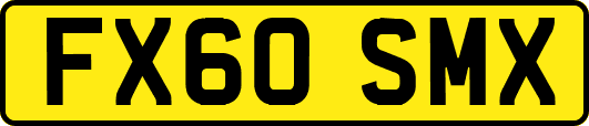 FX60SMX