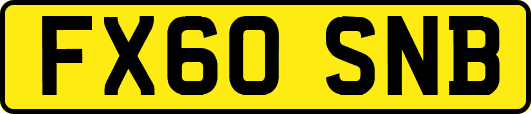FX60SNB