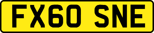 FX60SNE