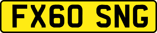FX60SNG