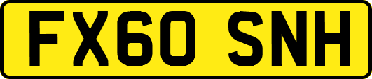 FX60SNH