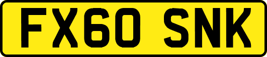 FX60SNK