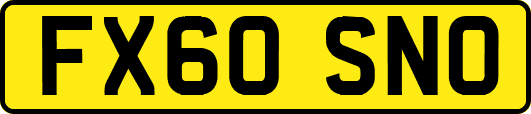 FX60SNO